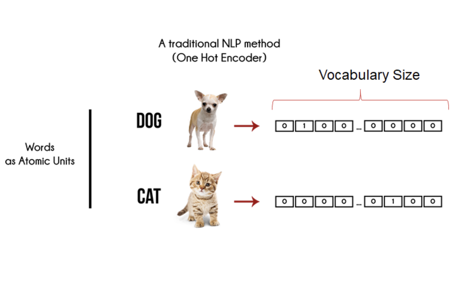 vector embedding